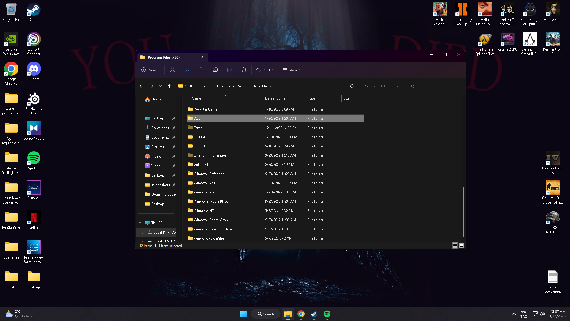 Desktop Screenshot 2023.01.30 - 00.07.35.16.png