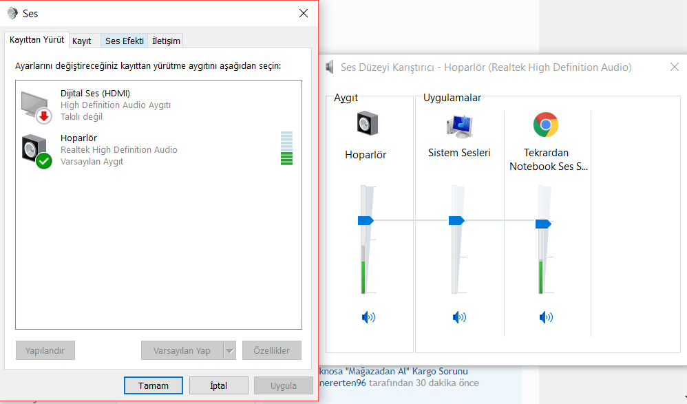 Ekran Alıntısı.PNG
