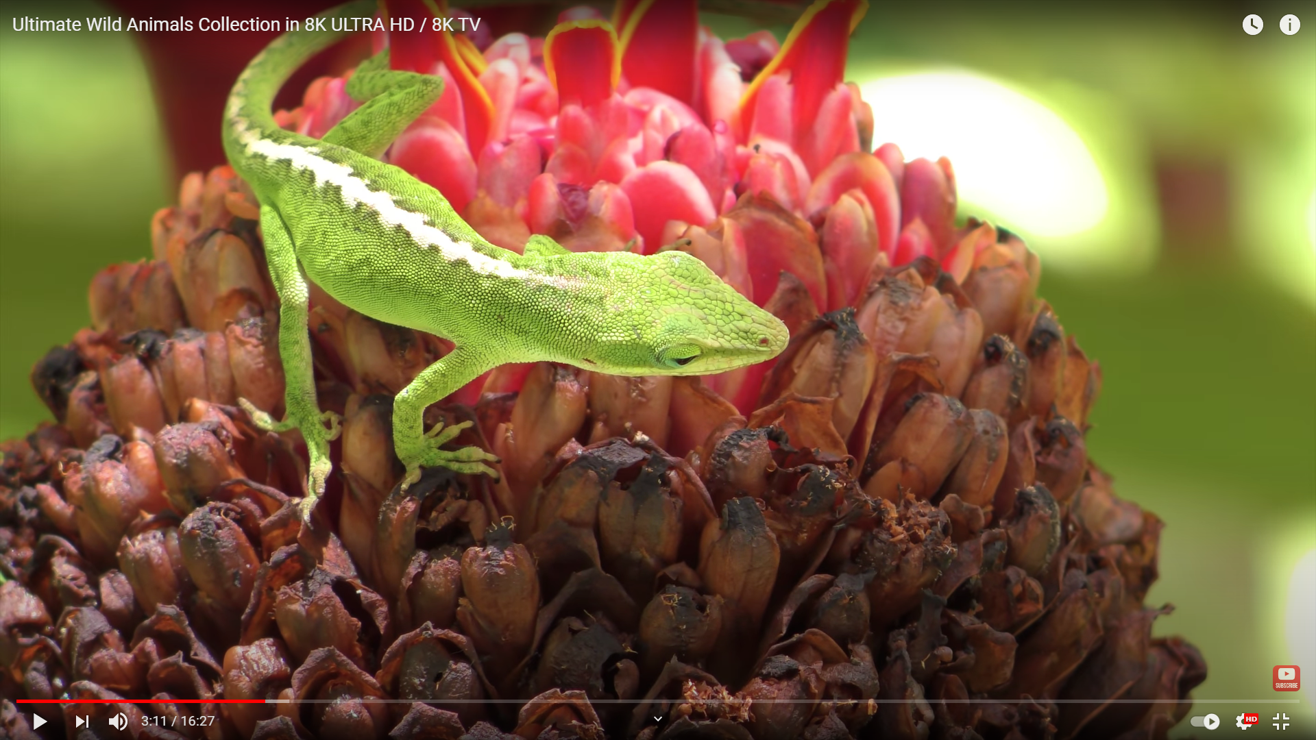 Ekran Görüntüsü (1091).png