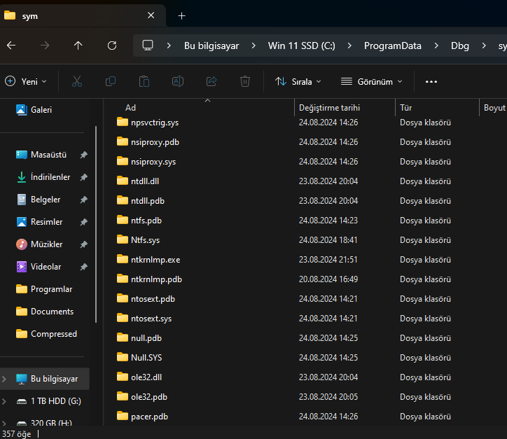 Ekran görüntüsü 2024-08-24 185719.png