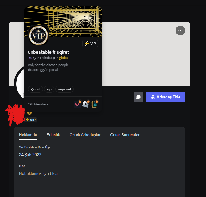 Ekran görüntüsü 2024-11-02 232345.png