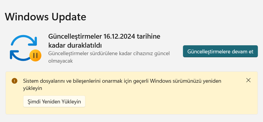 Ekran görüntüsü 2024-12-09 184702.png