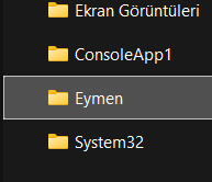 Ekran görüntüsü 2025-04-03 195218.png