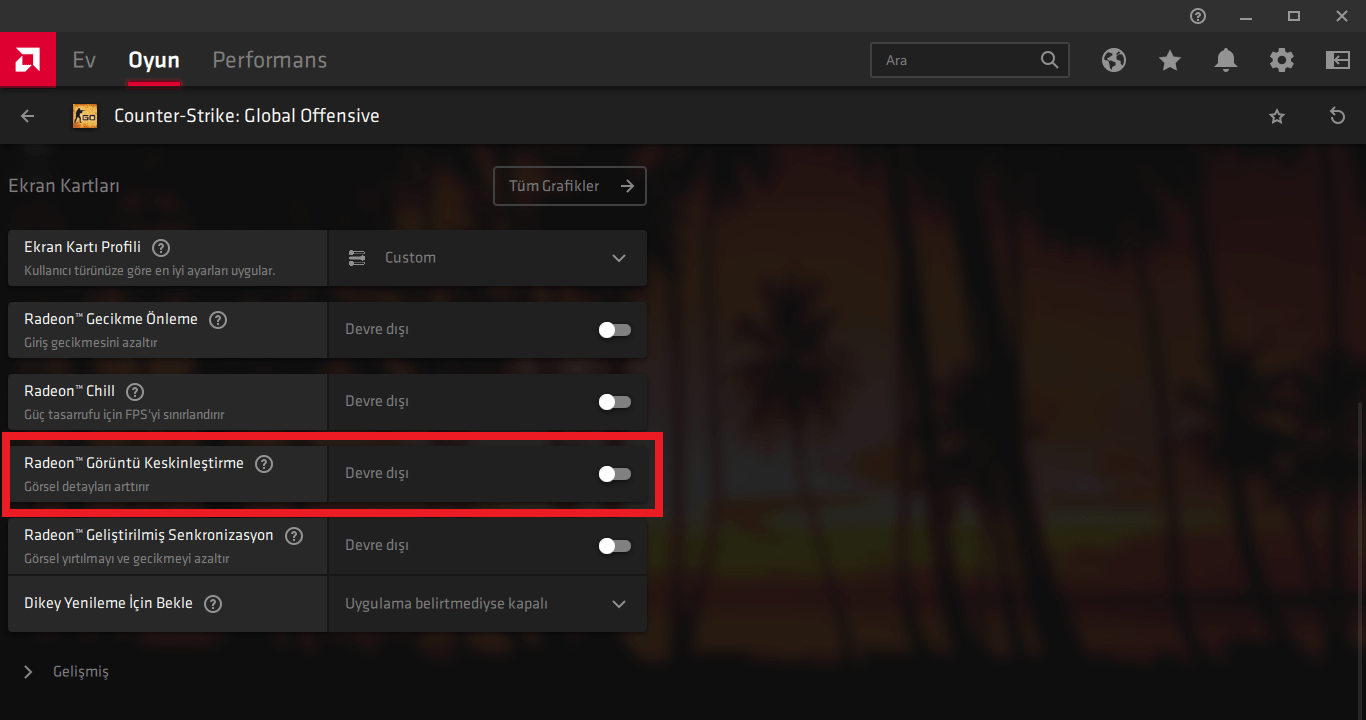 Ekran Görüntüsü (222).png