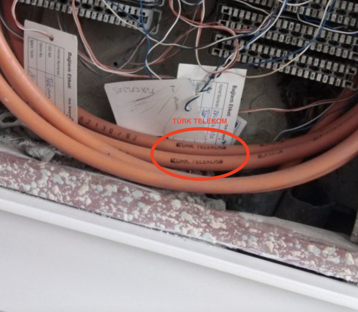 Ekran Resmi 2022-06-12 20.01.58.png