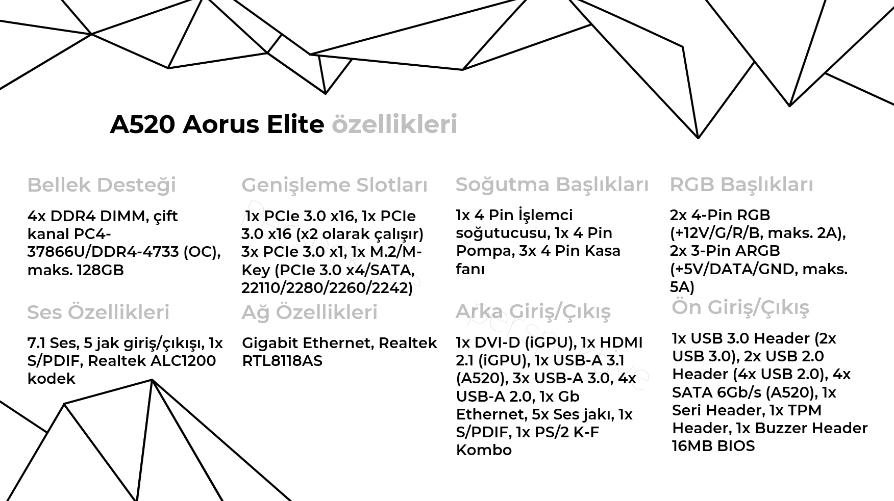 elite2.png