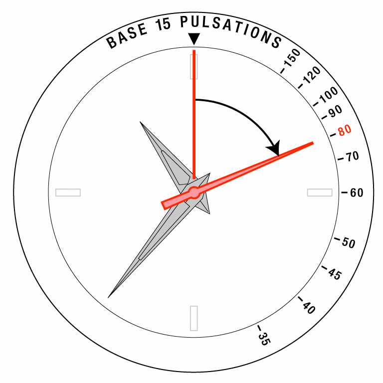 ext_pulsemeter15(1).png