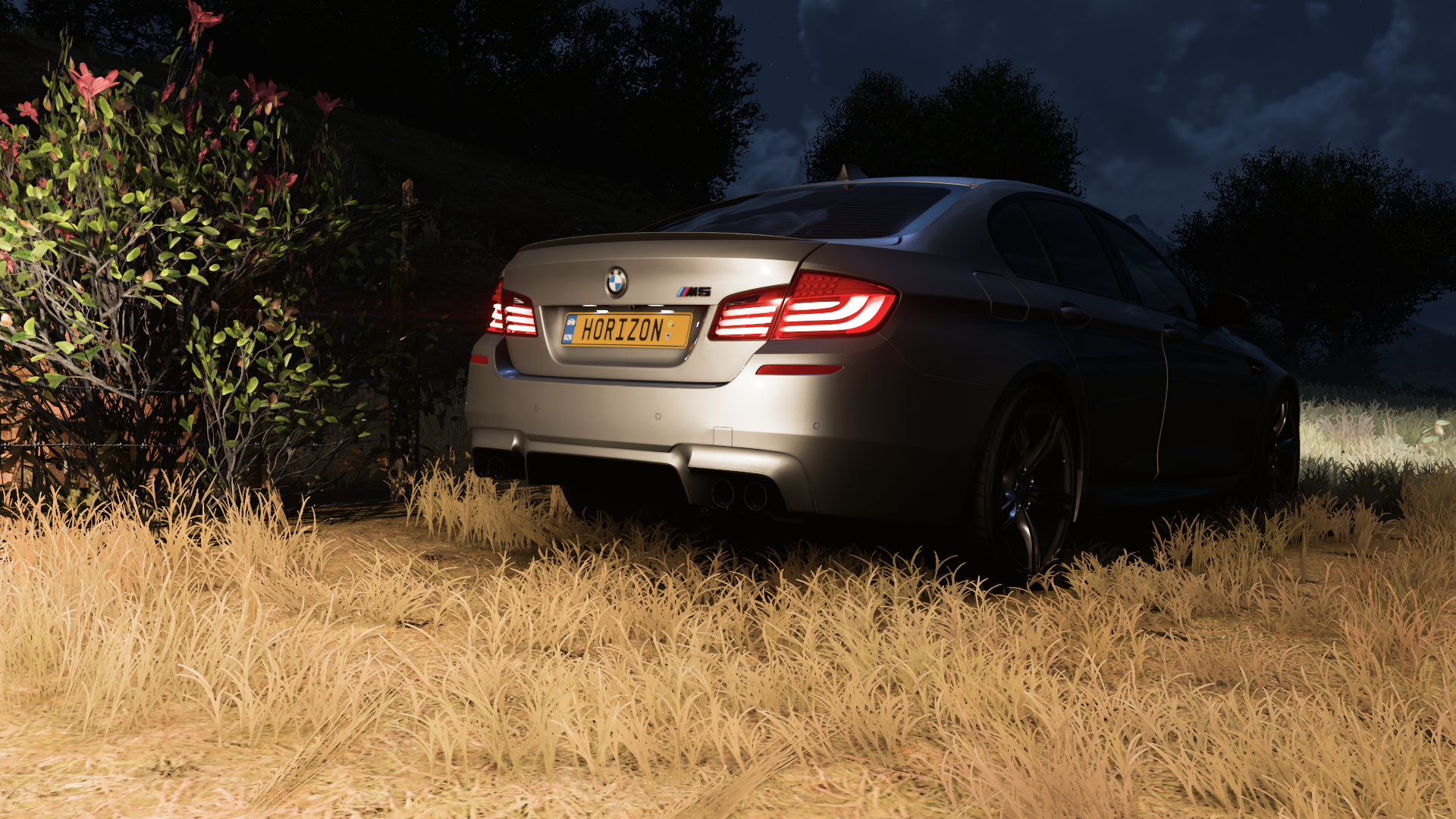 fh5bmw33.png