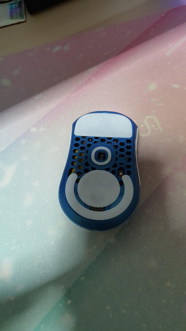 finalmouse to gpx ptfe skates.jpg