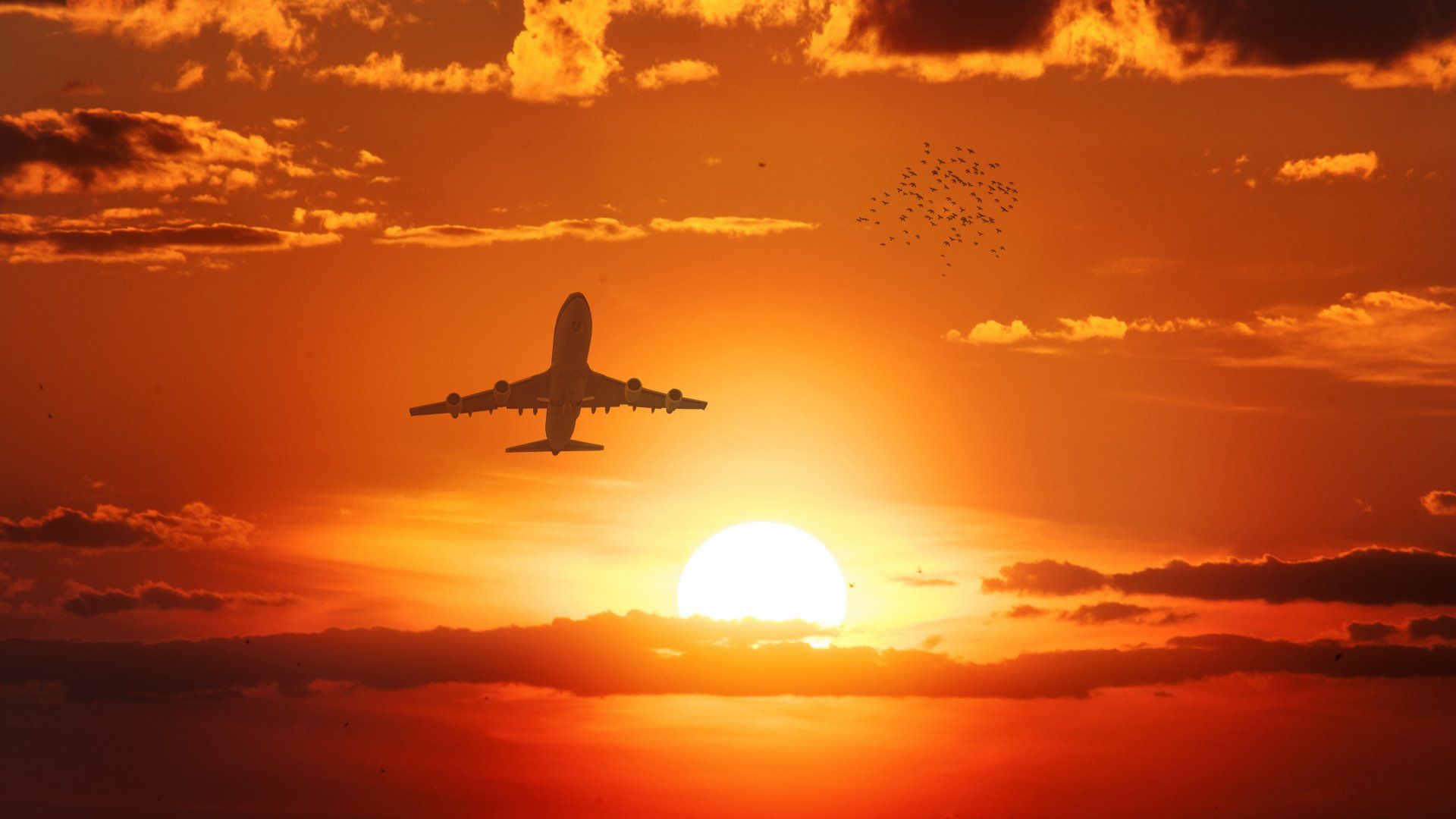 flight_sunset_4k-other.jpg
