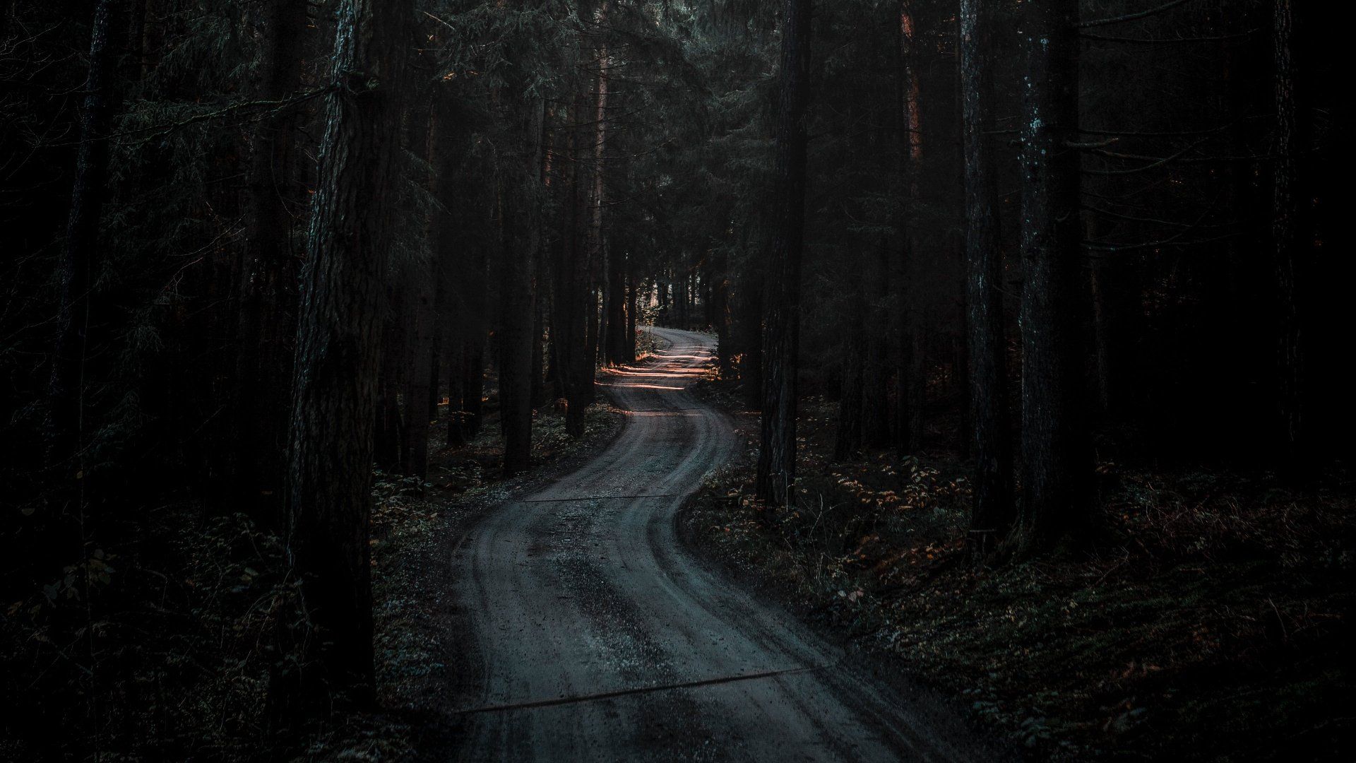 forest-road-dark-wallpaper.jpg