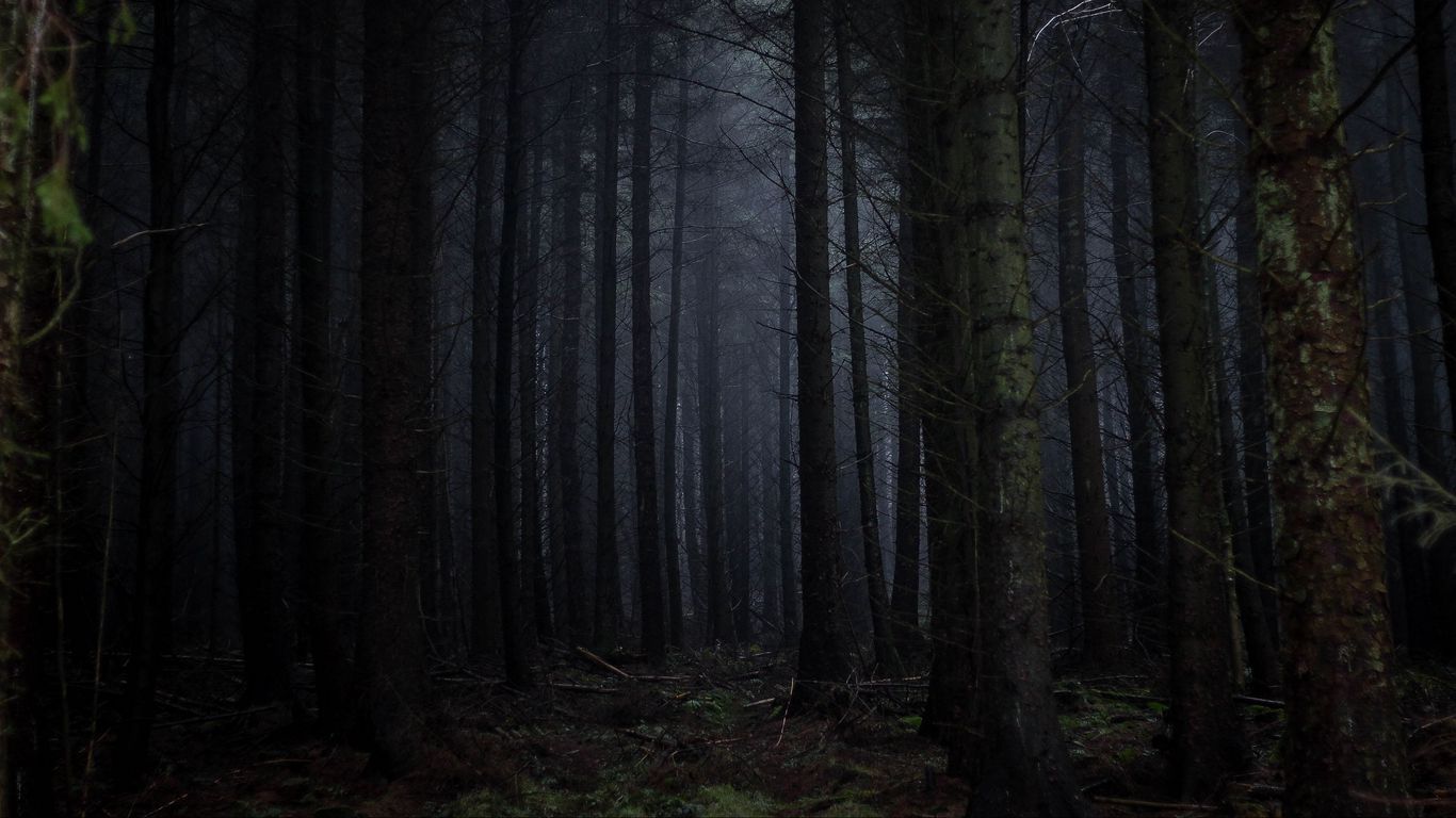 forest_fog_dark_127172_1366x768.jpg