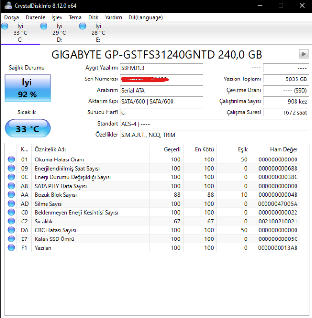gigabyte_ssd_info.png