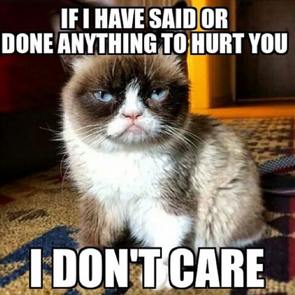 grumpy-cat-meme-171.jpg