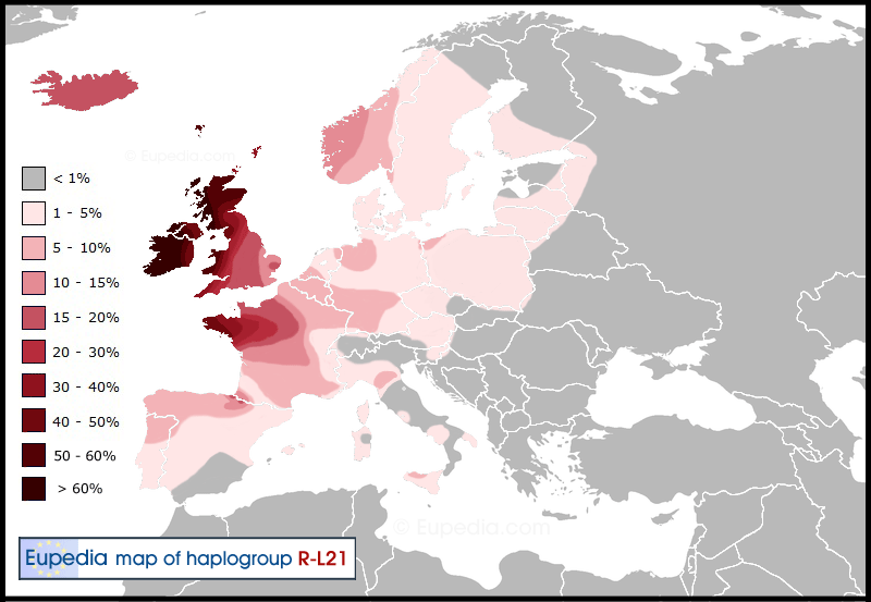 Haplogroup-R1b-L21.png