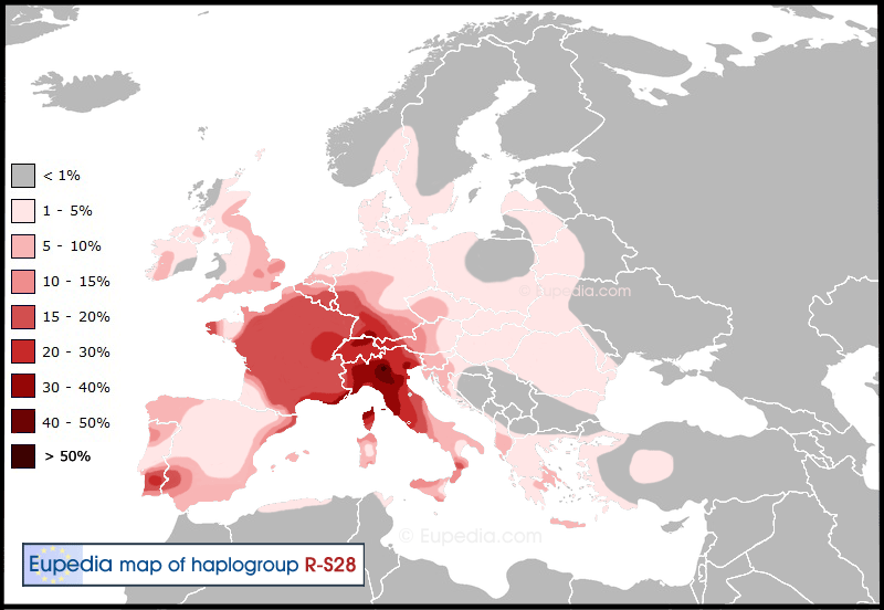 Haplogroup-R1b-S28.png
