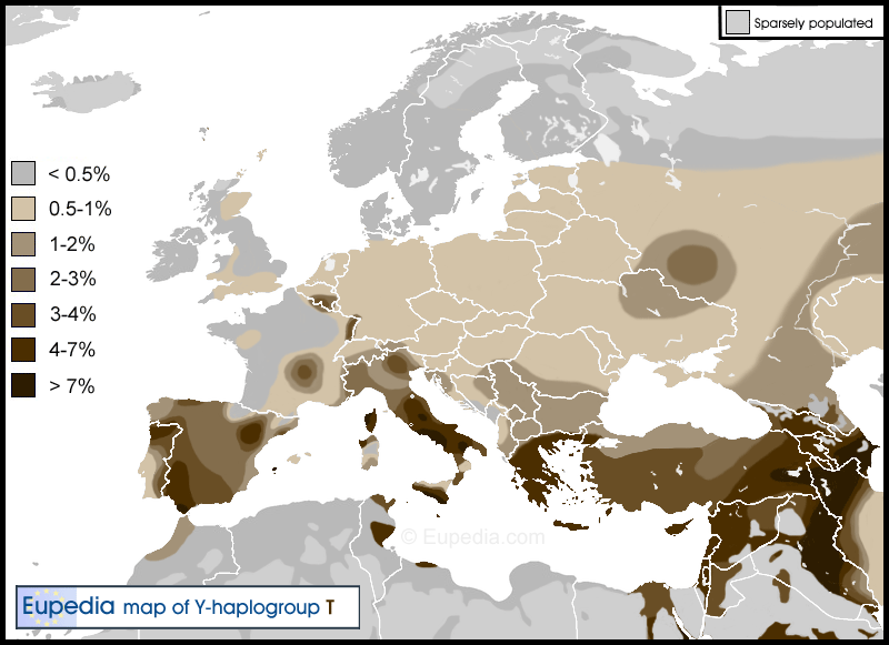 Haplogroup-T.png