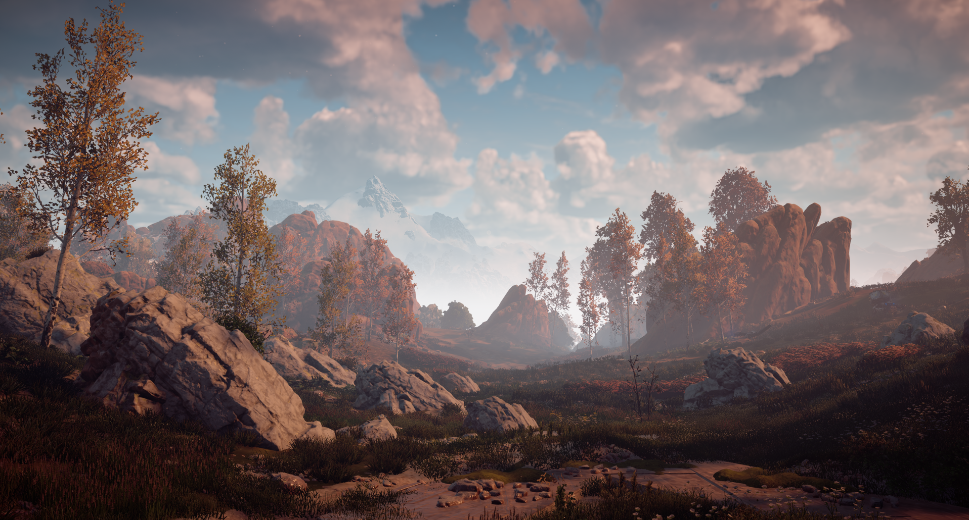 Horizon Zero Dawn_Mon_May_31_19-51-39_2021 (2).png
