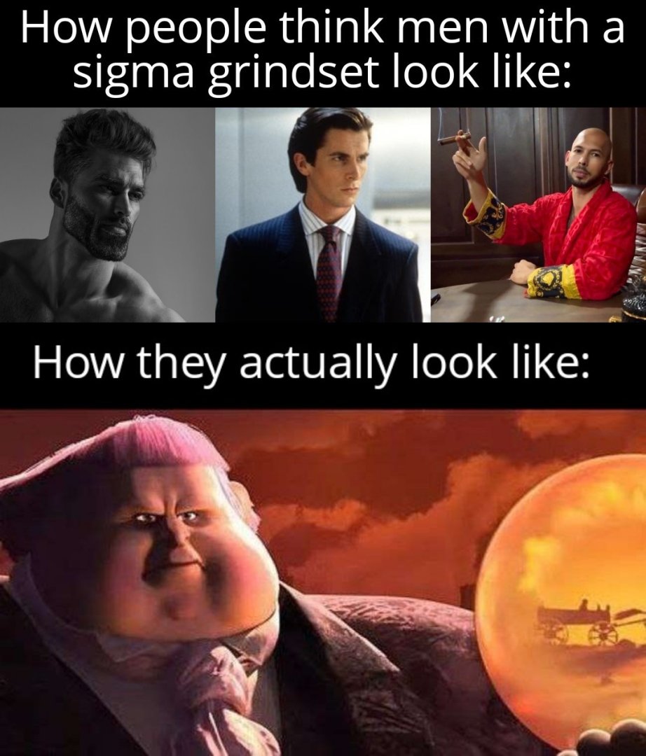 How-people-think-men-with-a-Sigma-grindset-look-like-meme-13730.jpg