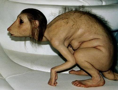 images - 2020-11-16T214639.774.jpeg