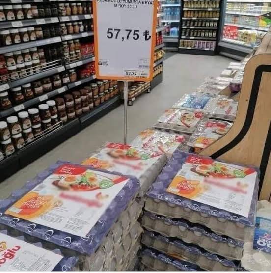 images (5) (16).jpeg