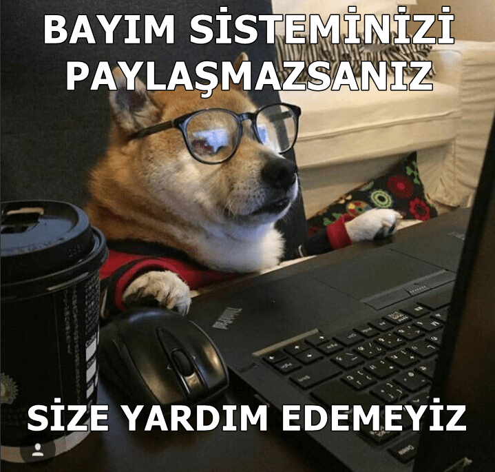 kedi technopat.png