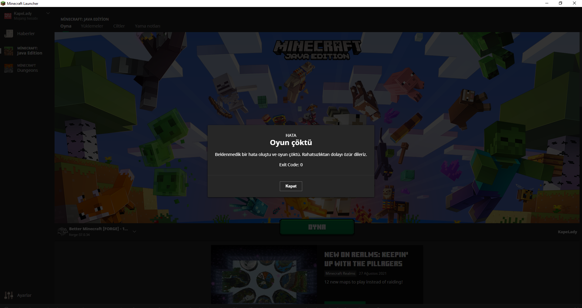 Minecraft Launcher 1.09.2021 16_50_47.png