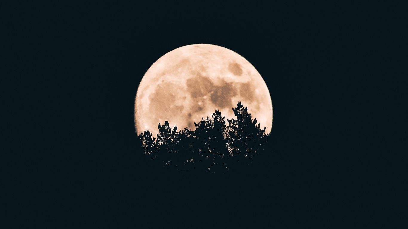 moon_trees_dark_160894_1366x768.jpg
