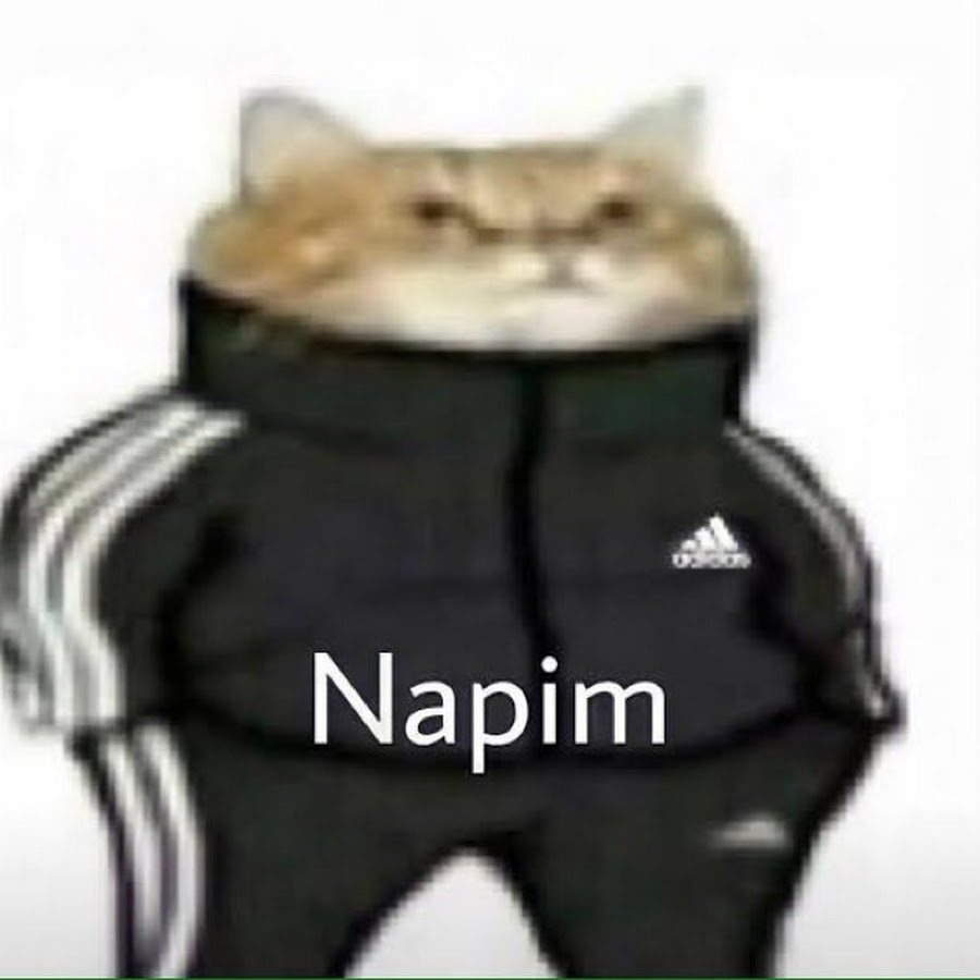 napim.png