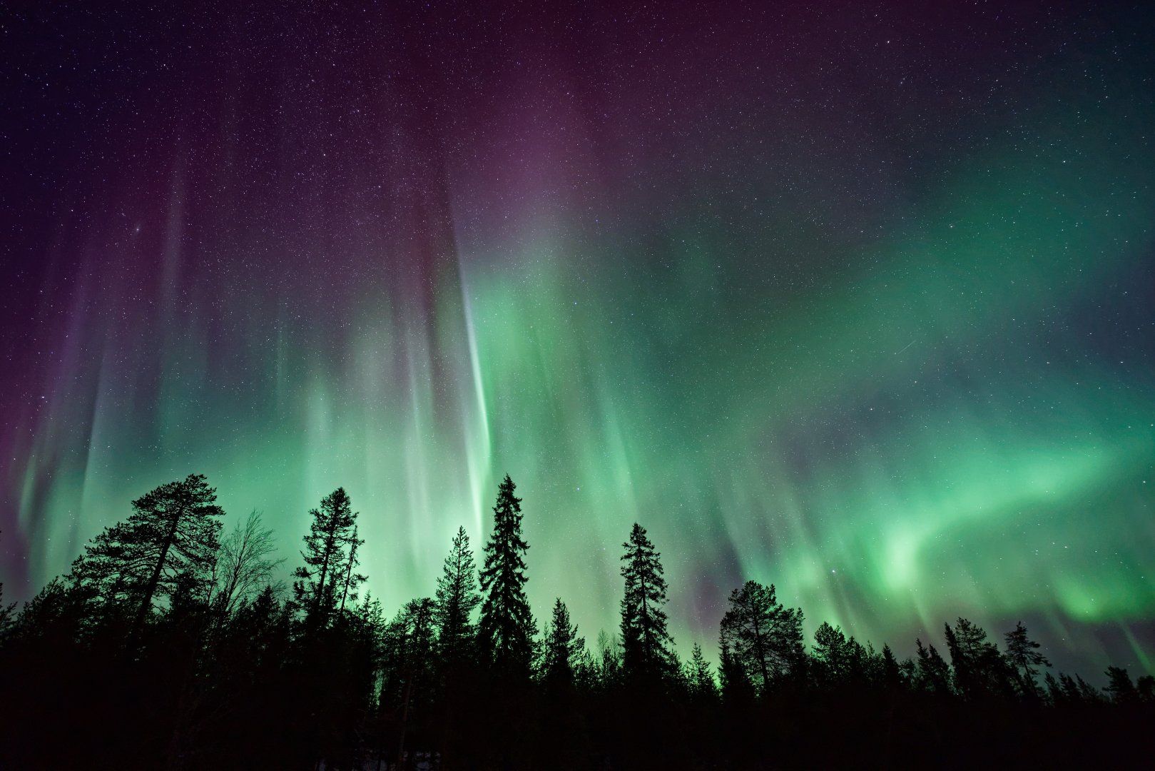 northern-lights-7360x4912-forest-aurora-borealis-4k-8k-6332.jpg