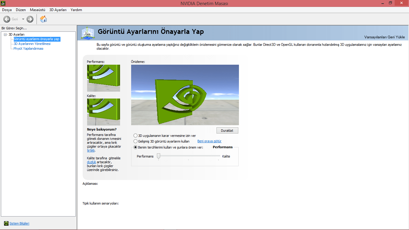 Nvidia Control Panel Performance.png