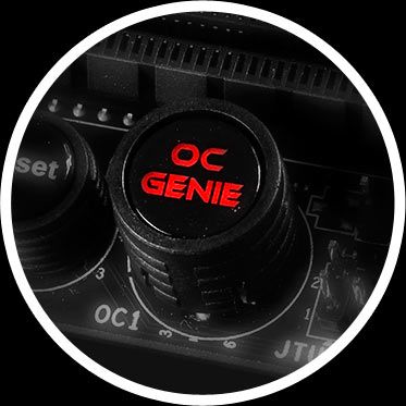 oc-genie-4.jpg