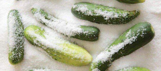 pickles-in-salt-677x302.jpeg