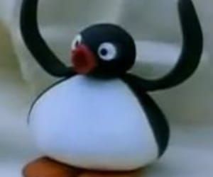 pingu-3.jpg