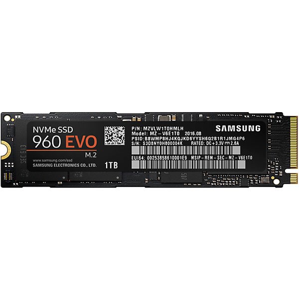 Samsung 1TB 960 EVO NVMe M.2 SSD.jpg