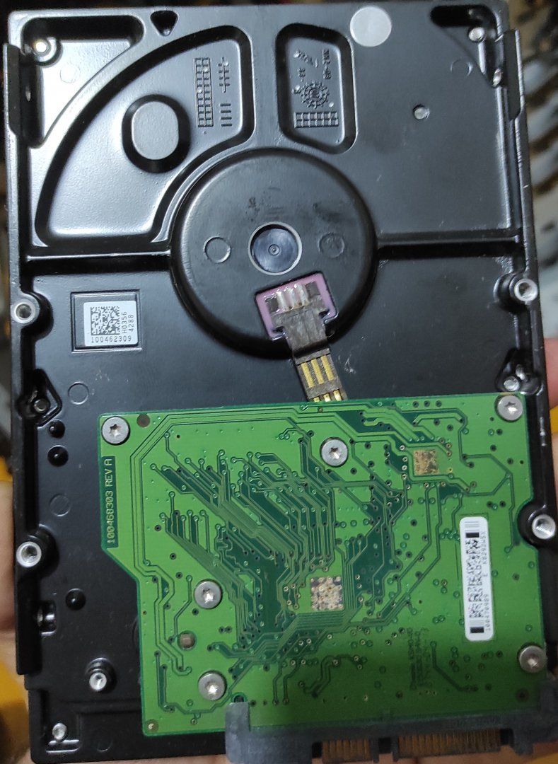 Seagate Barracuda2.jpg