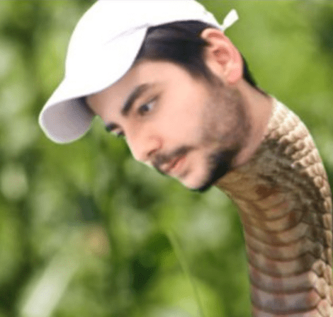 serdar.PNG