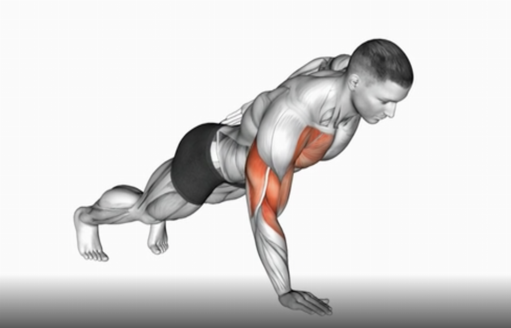 Rehber Kolaydan Zora Doğru Şınav Varyasyonları Technopat Sosyal