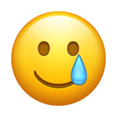 smiling-face-with-tear_1f972.png