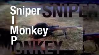 Sniper Monkey.jpg