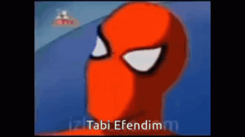 spider-man-tabi-efendim.gif