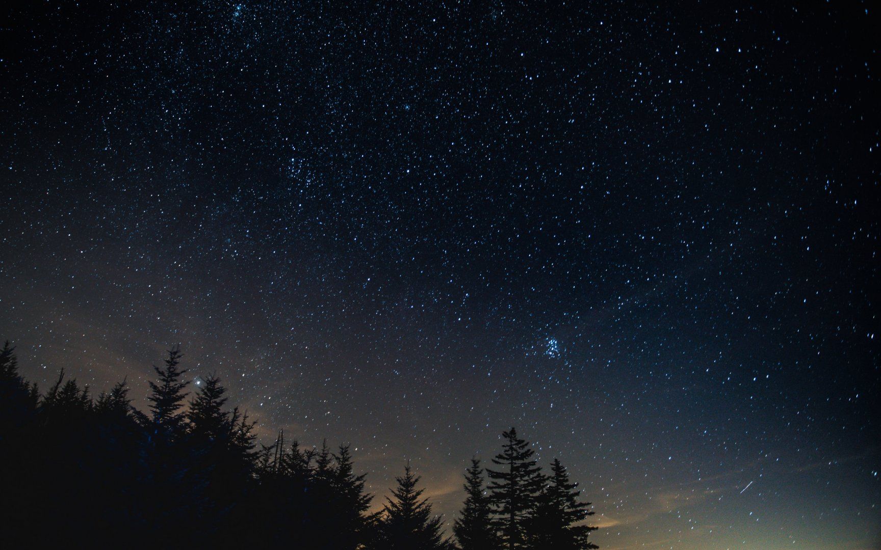 starry_sky_night_trees_night_landscape_118760_3840x2400.jpg
