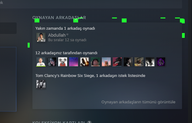 Steam 26.05.2021 15_21_10.png
