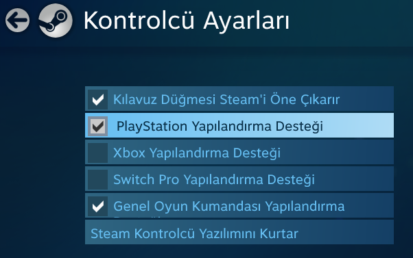 steam_c6td25SNqf.png