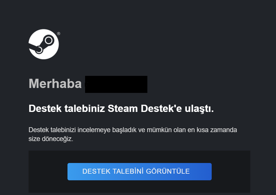 SteamDestek.png