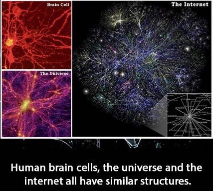 structure-brain-cell-universe-internet-1.jpg