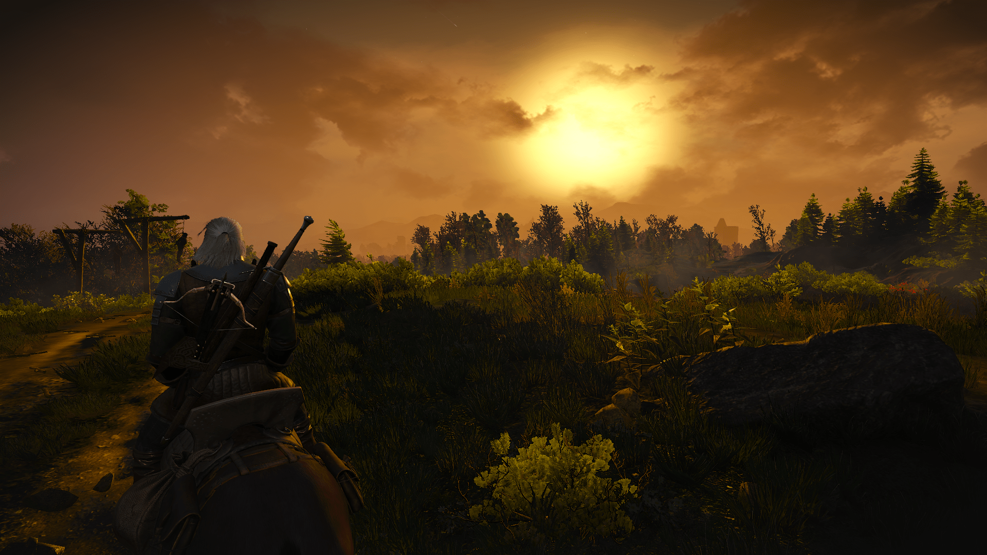 The Witcher 3 Screenshot 2020.05.31 - 15.27.49.05.png