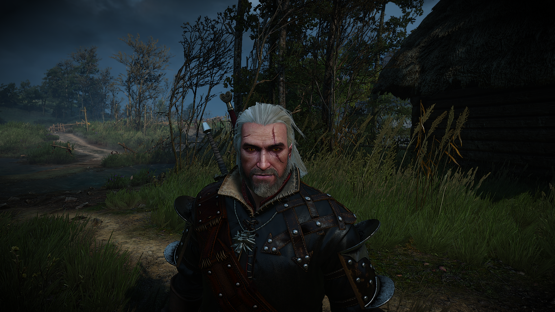 The Witcher 3 Screenshot 2021.02.27 - 23.28.30.61.png
