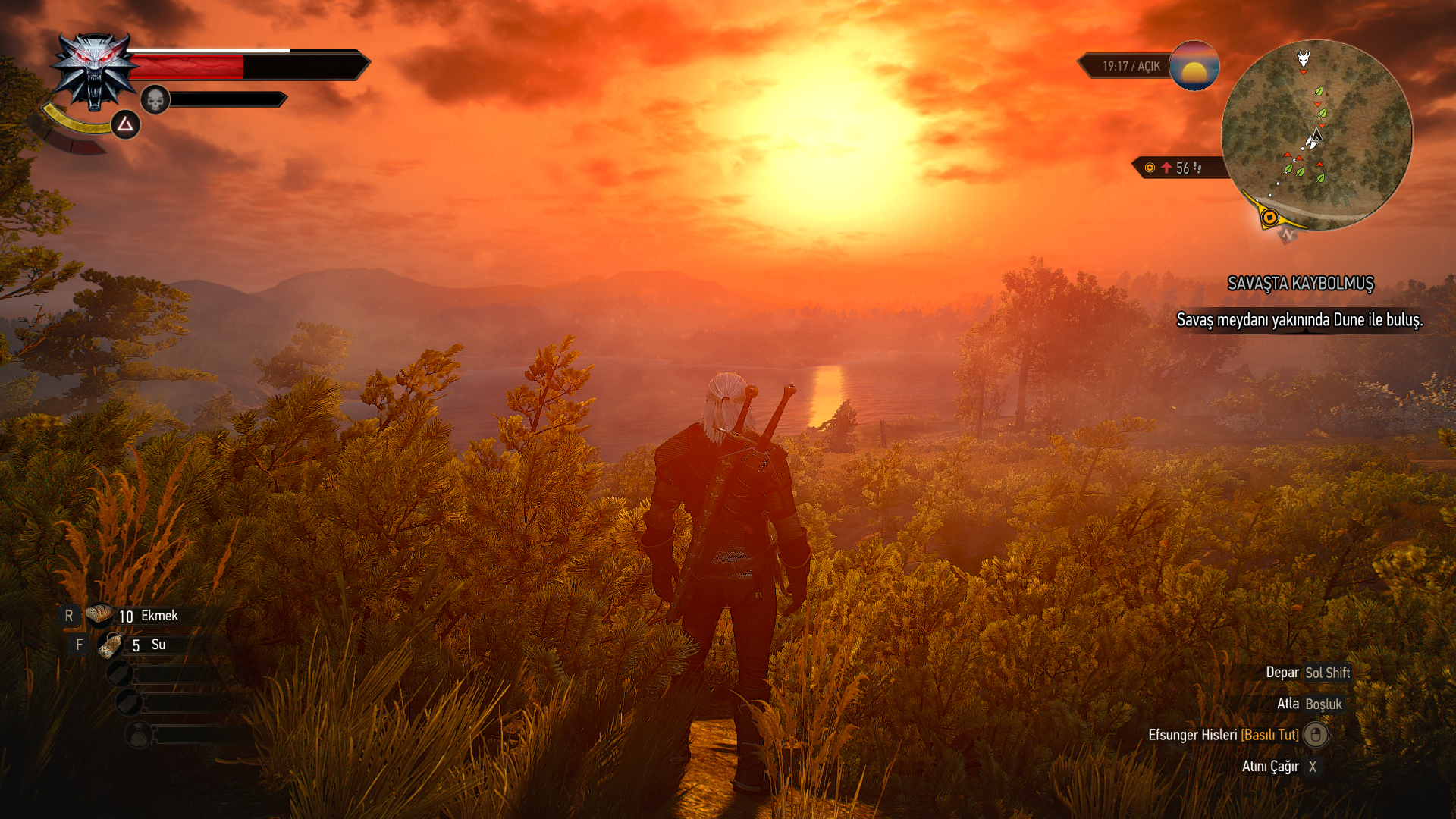 The Witcher 3 Screenshot 2021.03.28 - 18.07.16.98.png