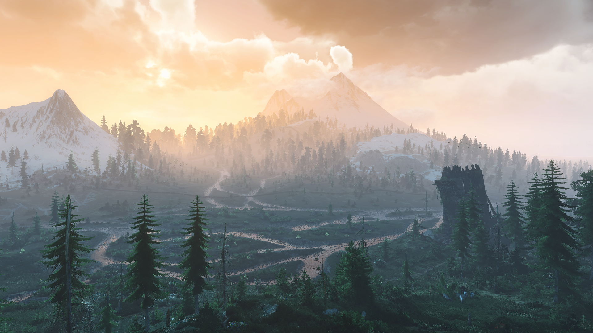 The Witcher 3 Screenshot 2021.10.11 - 16.14.47.13.png